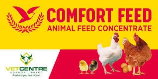 Boundary Survey, Utility Survey